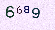 Visual Confirmation Security Code