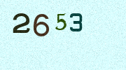 Visual Confirmation Security Code