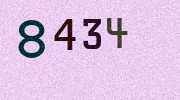 Visual Confirmation Security Code