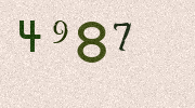 Visual Confirmation Security Code