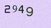 Visual Confirmation Security Code