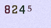 Visual Confirmation Security Code