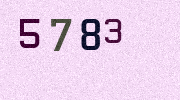 Visual Confirmation Security Code