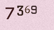 Visual Confirmation Security Code