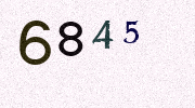Visual Confirmation Security Code