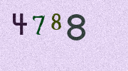 Visual Confirmation Security Code