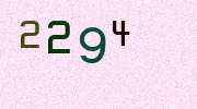 Visual Confirmation Security Code