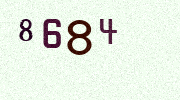 Visual Confirmation Security Code