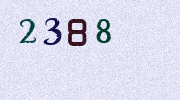 Visual Confirmation Security Code