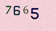 Visual Confirmation Security Code