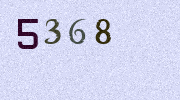 Visual Confirmation Security Code