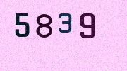 Visual Confirmation Security Code