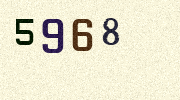 Visual Confirmation Security Code