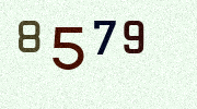 Visual Confirmation Security Code