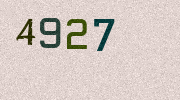 Visual Confirmation Security Code