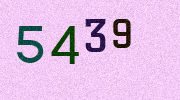 Visual Confirmation Security Code