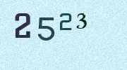 Visual Confirmation Security Code