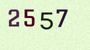 Visual Confirmation Security Code