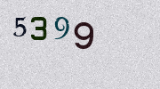 Visual Confirmation Security Code