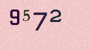 Visual Confirmation Security Code