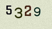 Visual Confirmation Security Code