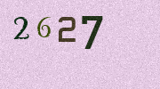 Visual Confirmation Security Code