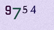 Visual Confirmation Security Code