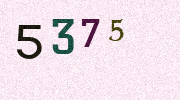 Visual Confirmation Security Code