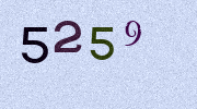 Visual Confirmation Security Code