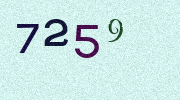 Visual Confirmation Security Code
