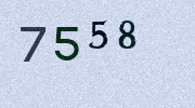 Visual Confirmation Security Code