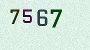 Visual Confirmation Security Code