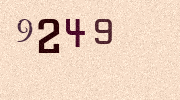 Visual Confirmation Security Code