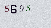 Visual Confirmation Security Code
