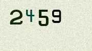Visual Confirmation Security Code