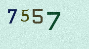 Visual Confirmation Security Code
