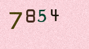 Visual Confirmation Security Code