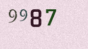 Visual Confirmation Security Code