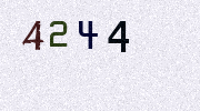 Visual Confirmation Security Code