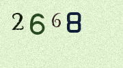Visual Confirmation Security Code