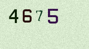 Visual Confirmation Security Code
