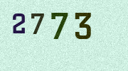Visual Confirmation Security Code