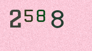 Visual Confirmation Security Code