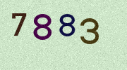 Visual Confirmation Security Code