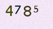 Visual Confirmation Security Code