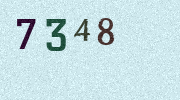 Visual Confirmation Security Code