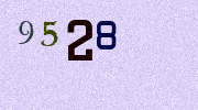 Visual Confirmation Security Code