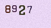 Visual Confirmation Security Code
