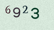 Visual Confirmation Security Code