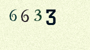 Visual Confirmation Security Code